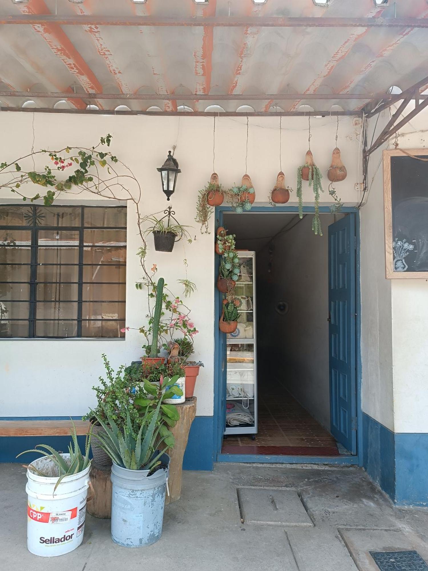 Hospedaje Quillabamba Santa Teresa  Exterior foto